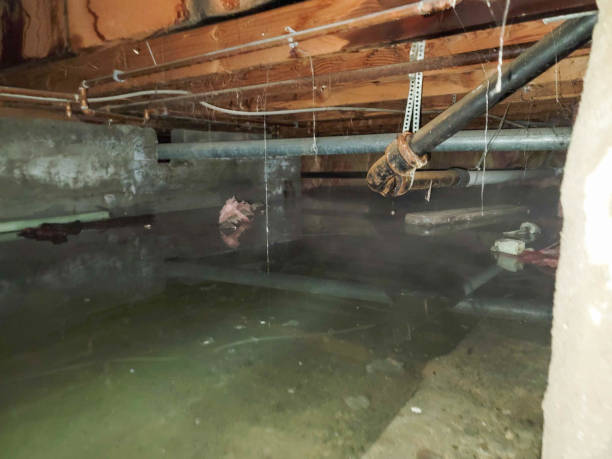Best Water damage restoration near me  in Forest Ranch, CA
