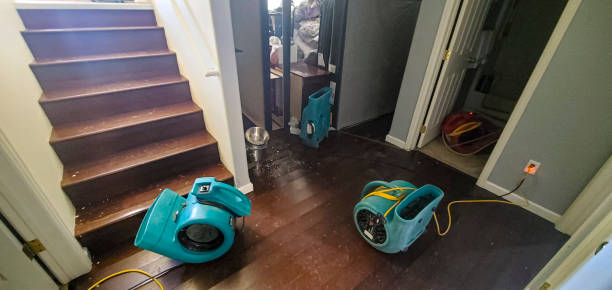 Best Carpet water damage restoration  in Forest Ranch, CA