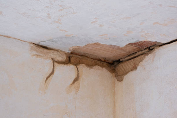 Water damage restoration experts in Forest Ranch, CA