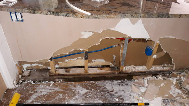 Best 24/7 water damage repair  in Forest Ranch, CA