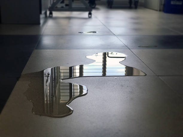 Best Water damage contractors near me  in Forest Ranch, CA