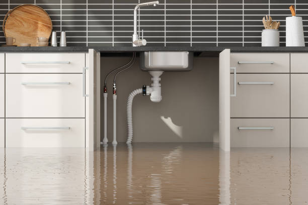 Best Water damage restoration near me  in Forest Ranch, CA