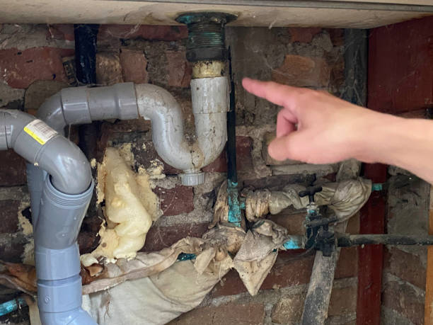 Water damage restoration mold remediation in Forest Ranch, CA