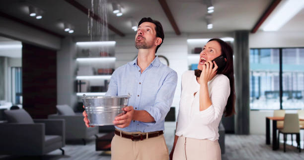  Forest Ranch, CA Water damage restoration Pros